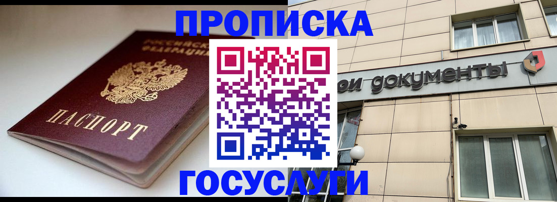 временная регистрация госуслуги в Щёкино